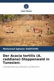 Der Acacia tortilis (A. raddiana)-Steppenwald in Tunesien: