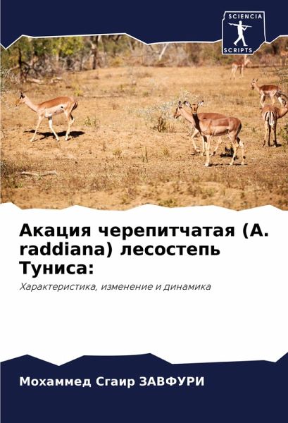 Akaciq cherepitchataq (A. raddiana) lesostep' Tunisa: