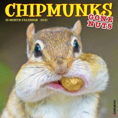 Chipmunks (Gone Nuts!) 2025 12 X 12 Wall Calendar - Willow Creek Press