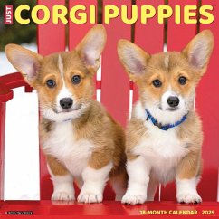 Just Corgi Puppies 2025 12 X 12 Wall Calendar - Willow Creek Press