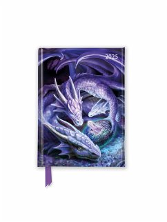 Anne Stokes - Willkommen Drachenbaby - Taschenkalender 2025 - Flame Tree Publishing