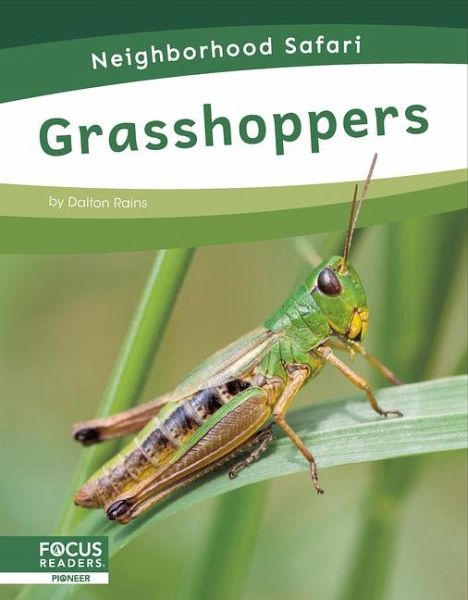 Grasshoppers Grasshoppers