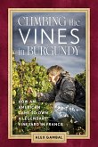 Climbing the Vines in Burgundy
