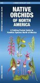 Native Orchids of North America
