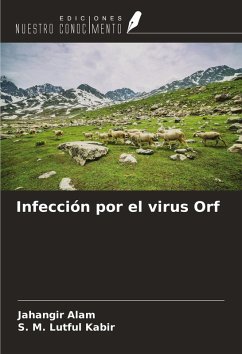 Cover Infección por el virus Orf