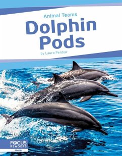 Dolphin Pods - Perdew, Laura