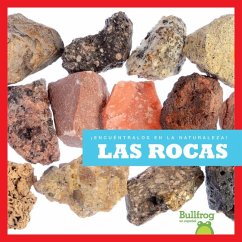 Las Rocas (Rocks) - Gleisner, Jenna Lee