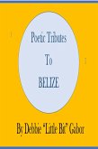 Poetic Tribute To Belize (eBook, ePUB)