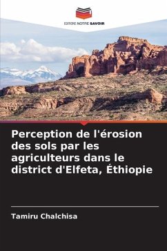 Perception de l'érosion des sols par les agriculteurs dans le district d'Elfeta, Éthiopie - Chalchisa, Tamiru