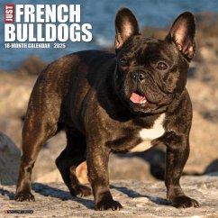 Just French Bulldogs 2025 12 X 12 Wall Calendar - Willow Creek Press