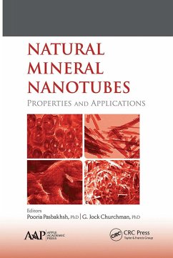 Natural Mineral Nanotubes