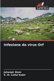 Infezione da virus Orf