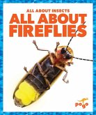 All about Fireflies