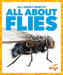 All about Flies - Golkar, Golriz