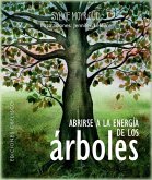 Abrirse a la Energía de Los Árboles