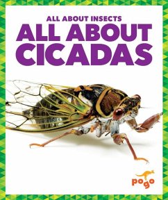 All about Cicadas - Golkar, Golriz