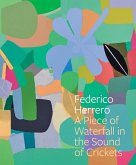 Federico Herrero: A Piece of Waterfall in the Sound of Crickets