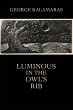 Luminous in the Owl's Rib - Bild 1