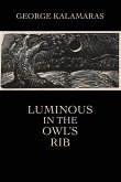 Luminous in the Owl's Rib Luminous in the Owl's Rib