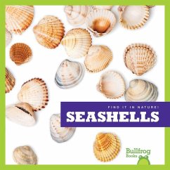 Cover Seashells