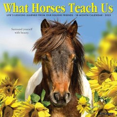 What Horses Teach Us 2025 12 X 12 Wall Calendar - Willow Creek Press