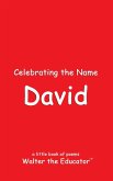 Celebrating the Name David