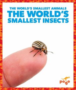 Cover The World's Smallest Insects