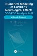 Numerical Modeling of COVID-19... - Bild 1