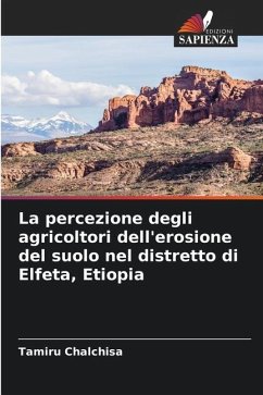 La percezione degli agricoltori dell'erosione del suolo nel distretto di Elfeta, Etiopia - Chalchisa, Tamiru