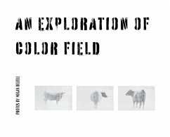Cover An Exploration In Color Field