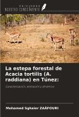 La estepa forestal de Acacia tortilis (A. raddiana) en Túnez: