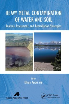 Cover Heavy Metal Contamination of Water and Soil