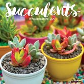 Succulents 2025 12 X 12 Wall Calendar