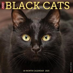 Just Black Cats 2025 12 X 12 Wall Calendar - Willow Creek Press
