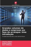 Grandes volumes de dados e empresas em fase de arranque: Uma introdução