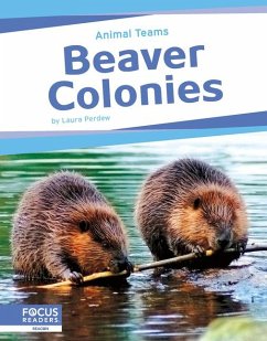 Beaver Colonies - Perdew, Laura