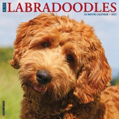 Just Labradoodles 2025 12 X 12 Wall Calendar - Willow Creek Press