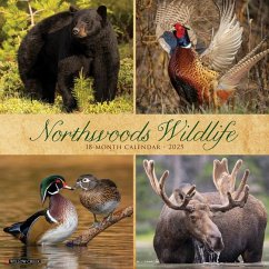 Northwoods Wildlife 2025 12 X 12 Wall Calendar - Willow Creek Press