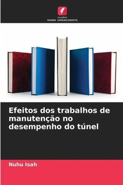 Efeitos dos trabalhos de manutenção no desempenho do túnel - Isah, Nuhu