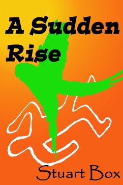 Cover A Sudden Rise (eBook, ePUB)