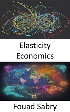 Elasticity Economics (eBook, ePUB) - Sabry, Fouad