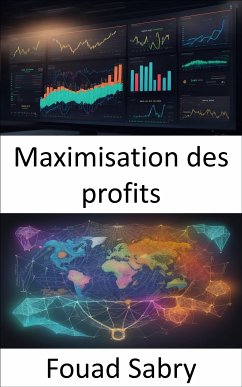 Maximisation des profits (eBook, ePUB) - Sabry, Fouad