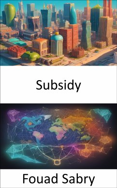 Subsidy (eBook, ePUB) - Sabry, Fouad