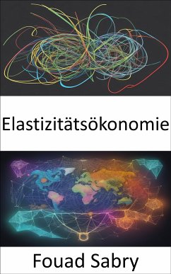 Elastizitätsökonomie (eBook, ePUB) - Sabry, Fouad