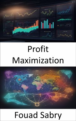 Profit Maximization (eBook, ePUB) - Sabry, Fouad