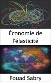 Économie de l&quote;élasticité (eBook, ePUB)