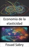 Economía de la elasticidad (eBook, ePUB)