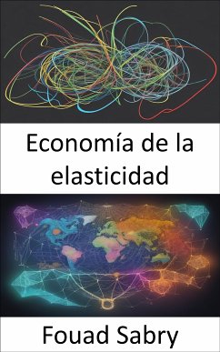 Economía de la elasticidad (eBook, ePUB) - Sabry, Fouad