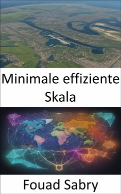 Minimale effiziente Skala (eBook, ePUB) - Sabry, Fouad