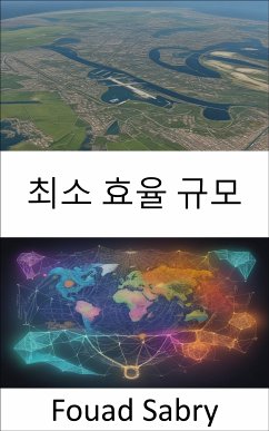 최소 효율 규모 (eBook, ePUB) - Sabry, Fouad